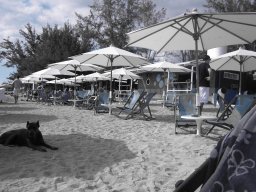 La Réunion au quotidien